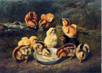 unknow artist chickens 197 Spain oil painting art
